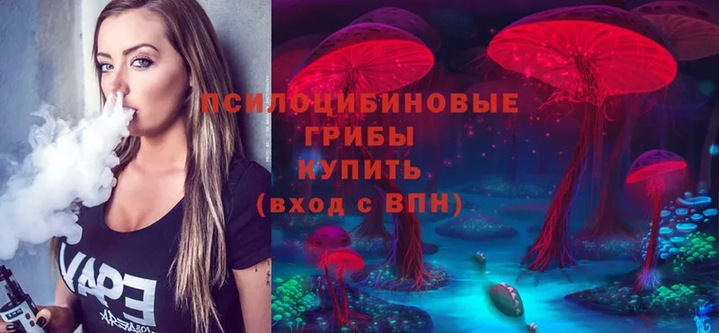 Псилоцибиновые грибы Magic Shrooms Кизел